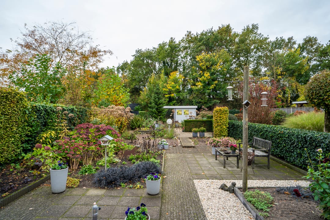 Foto 23 van Goudrenet 24