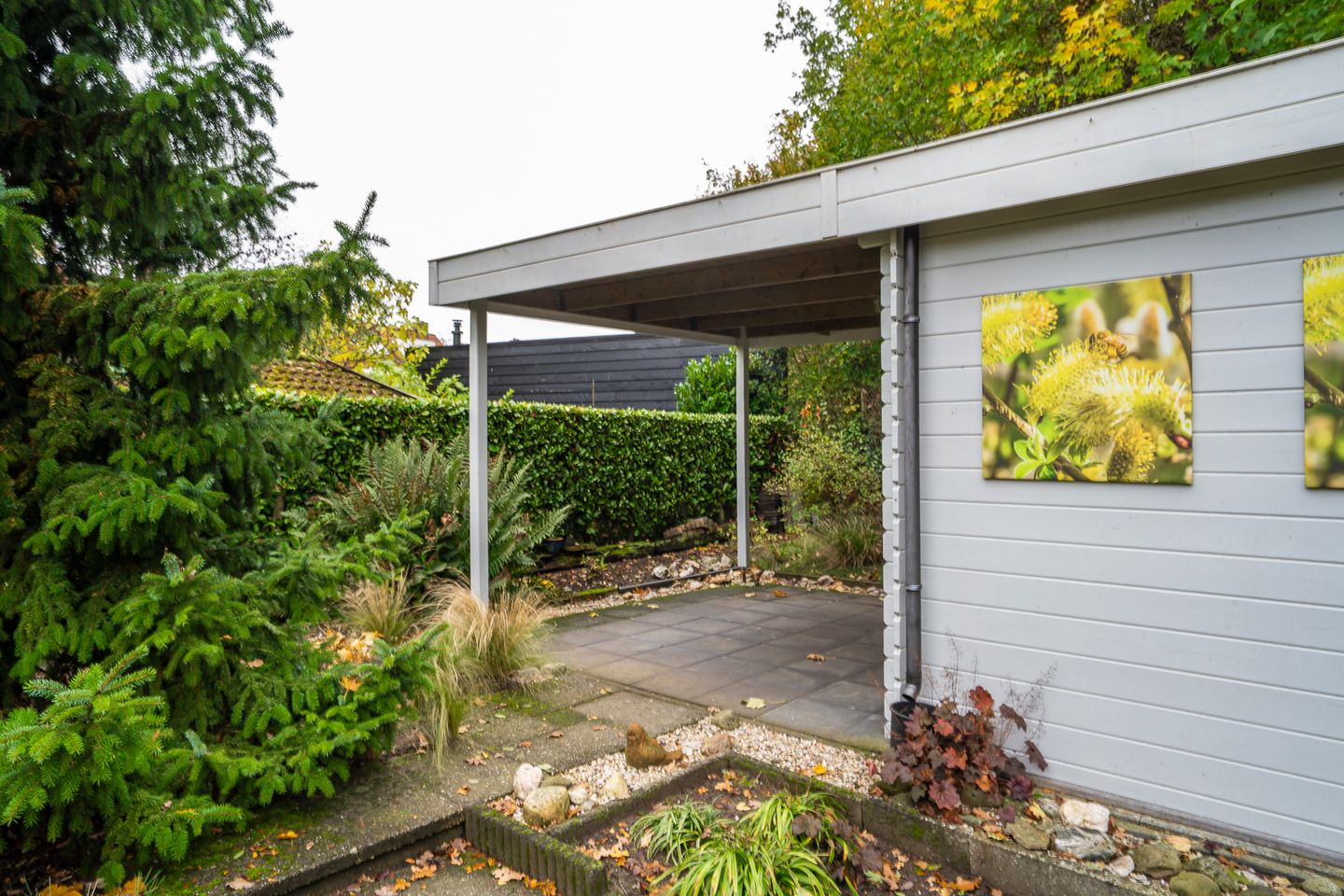 Foto 25 van Goudrenet 24