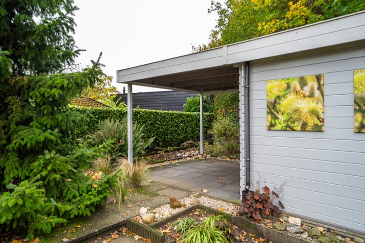 Foto 25 van Goudrenet 24