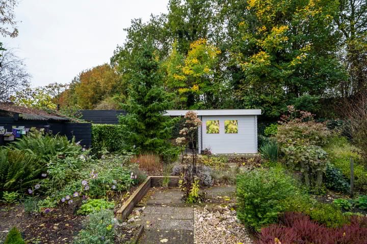 Foto 24 van Goudrenet 24