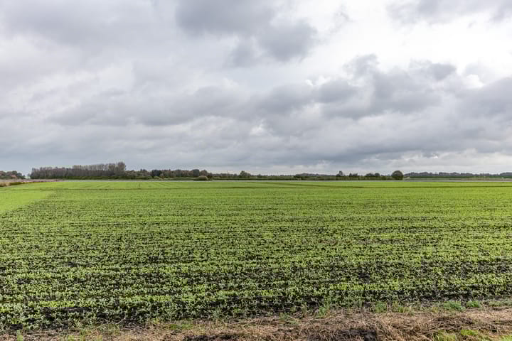 Photo 4 of Engelberterweg 112