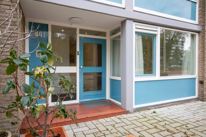 Photo 3 of Van der Boechorststraat 46-A