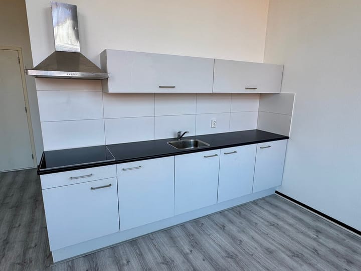 Foto 6 van Mr. van Coothstraat 55-18