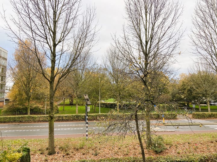 Foto 20 van Kanteel 35