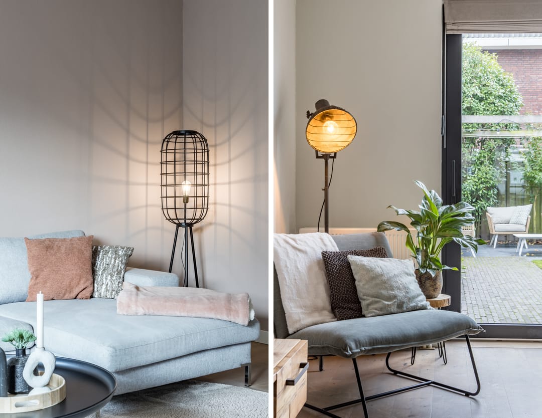 Foto 2 van Zilveresdoorn 14