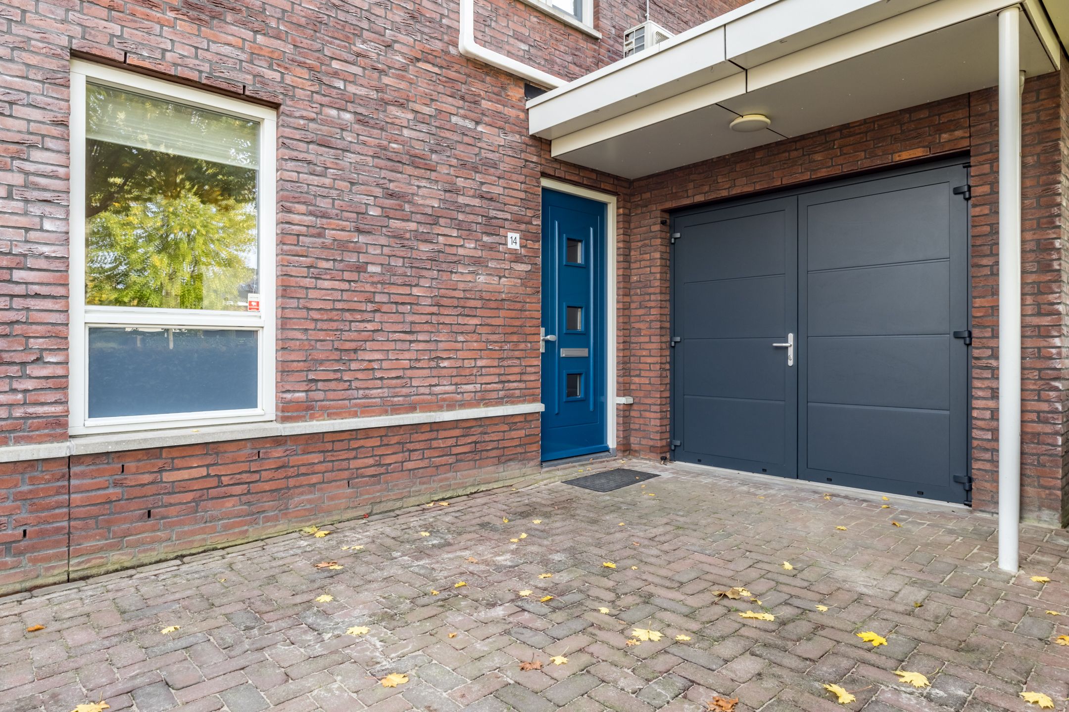 Foto 6 van Zilveresdoorn 14