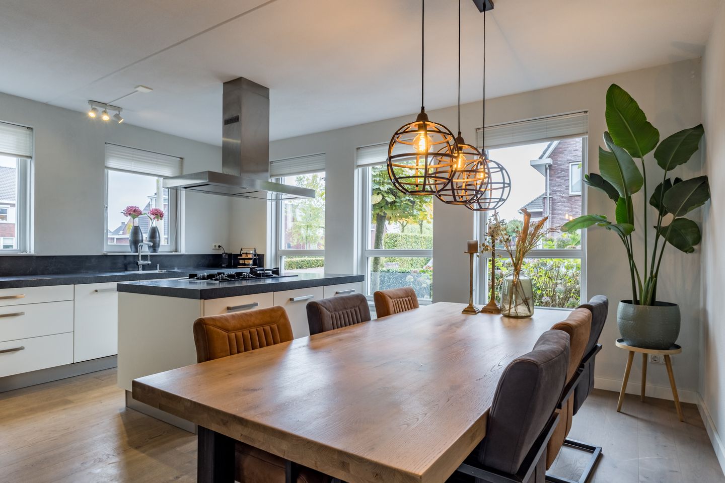 Foto 10 van Zilveresdoorn 14