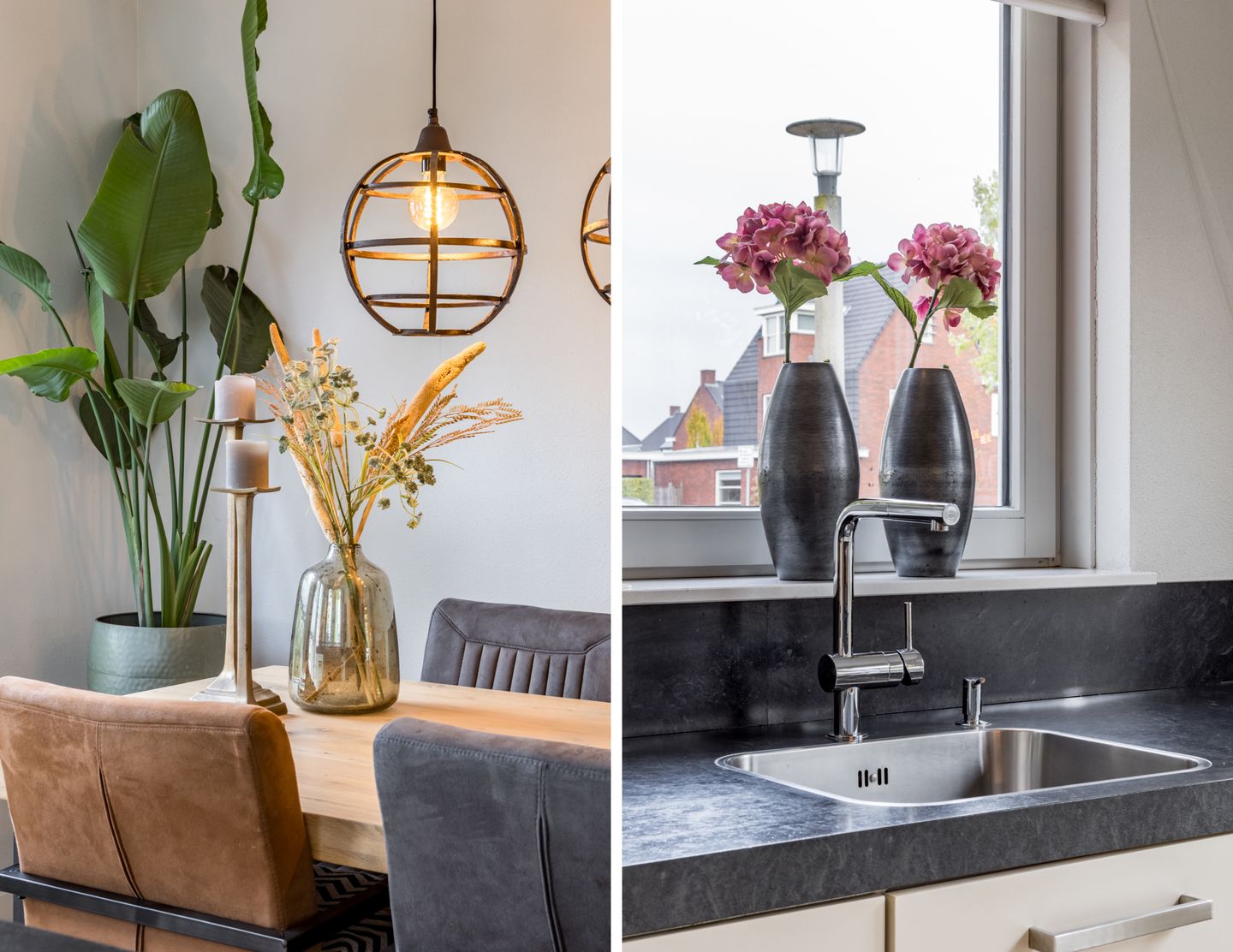 Foto 14 van Zilveresdoorn 14