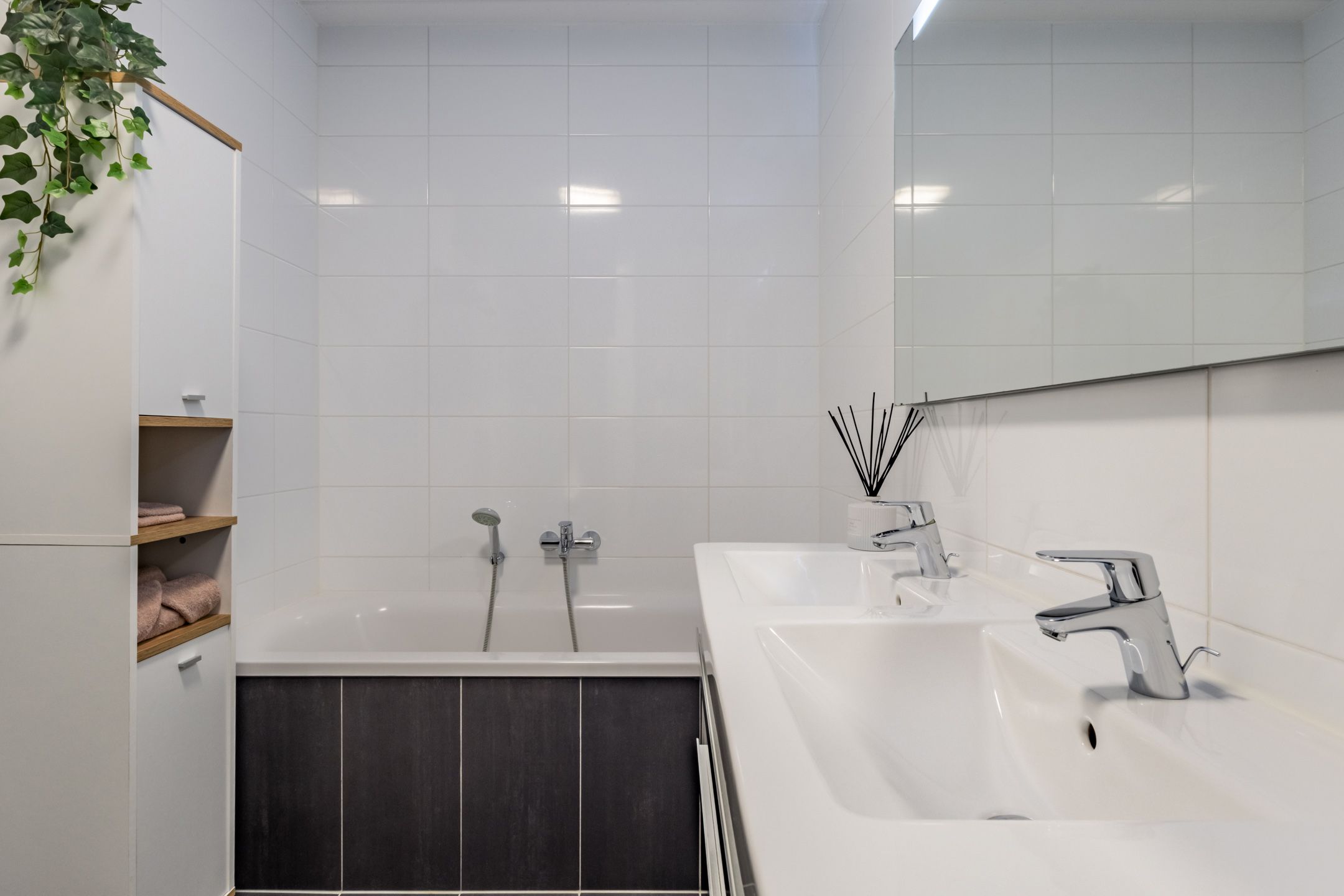 Foto 24 van Zilveresdoorn 14