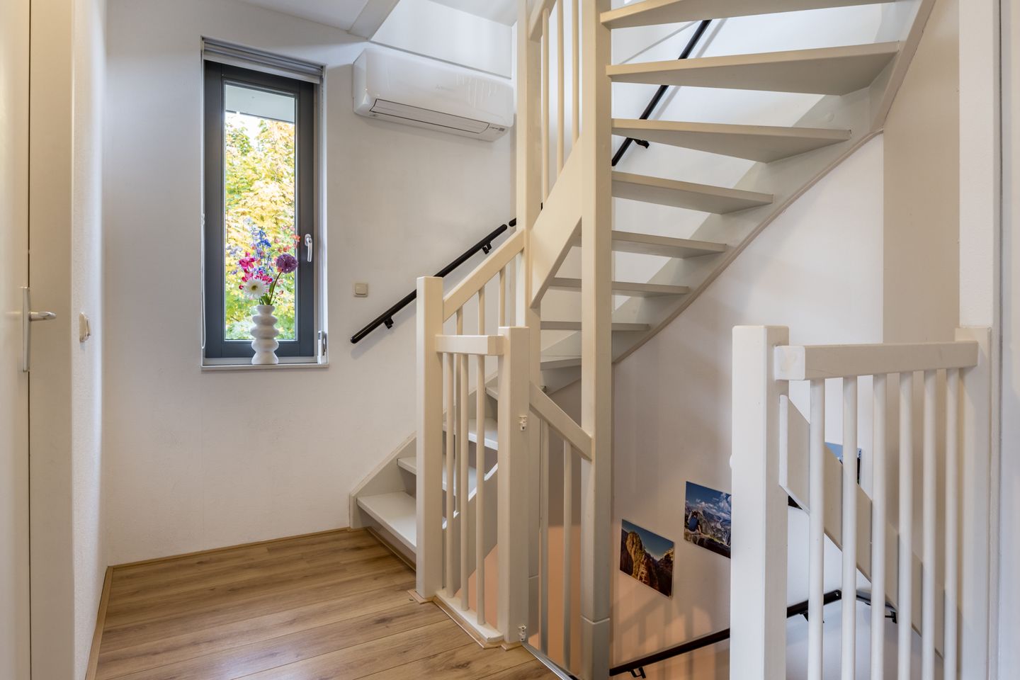 Foto 25 van Zilveresdoorn 14