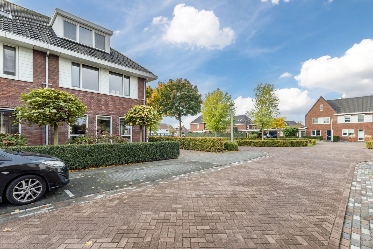 Foto 35 van Zilveresdoorn 14