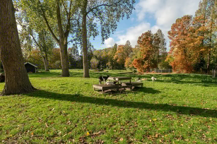 Photo 28 of Apollolaan 620