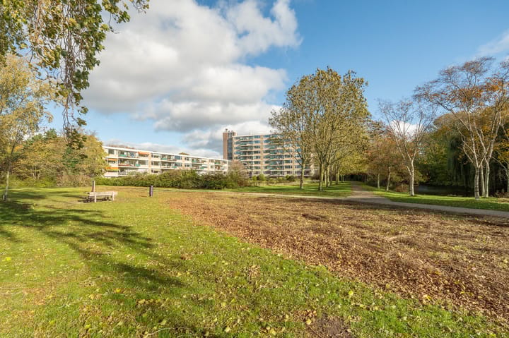 Photo 32 of Apollolaan 620