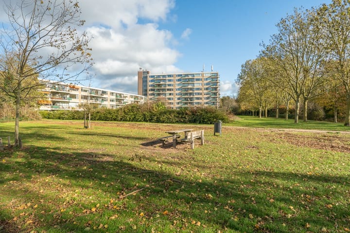 Photo 33 of Apollolaan 620