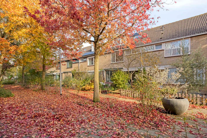 Foto 2 van Haringvliet 9