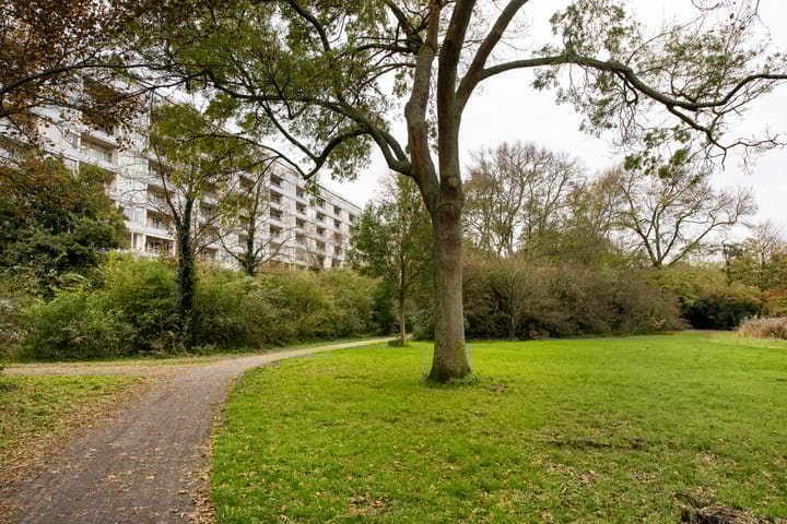 Photo 23 of Engelandlaan 406