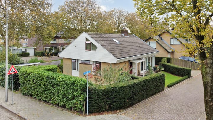 Foto 45 van Elf Guldensmijn 2