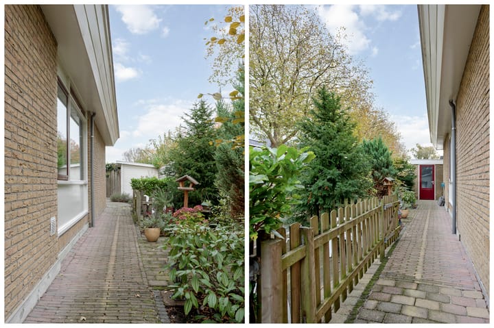 Foto 46 van Elf Guldensmijn 2