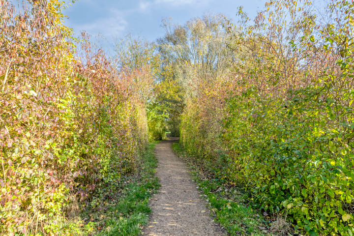 Foto 48 van Offenbachlaan 35