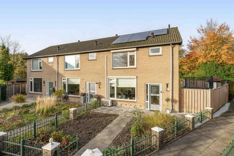 undefined main image