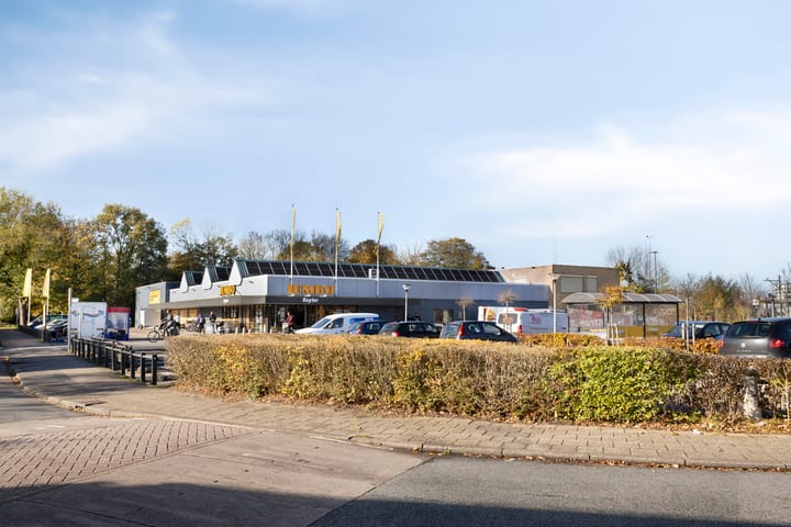 Foto 25 van van Loonstraat 79