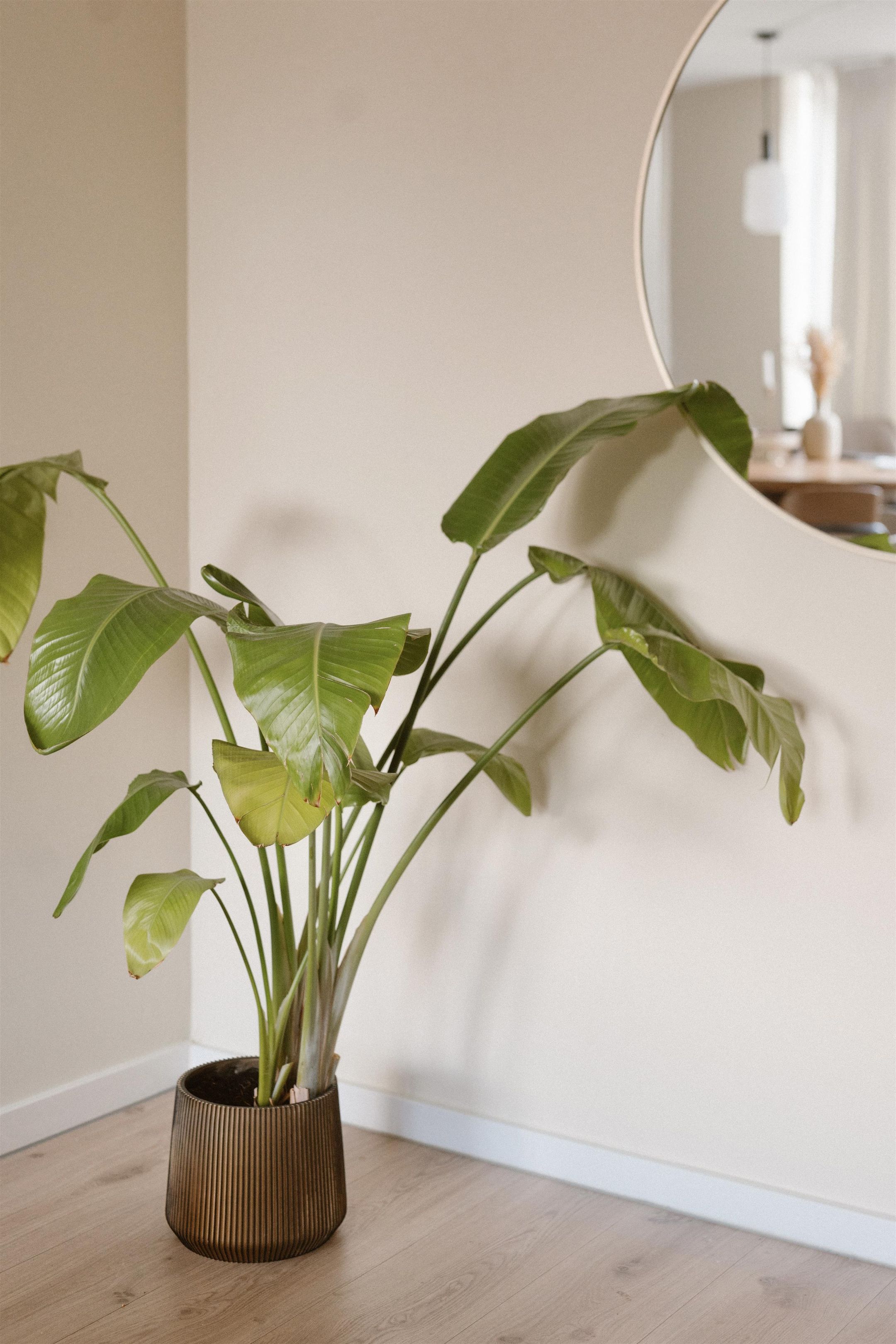 Foto 12 van Pijnappelsche Poort 14