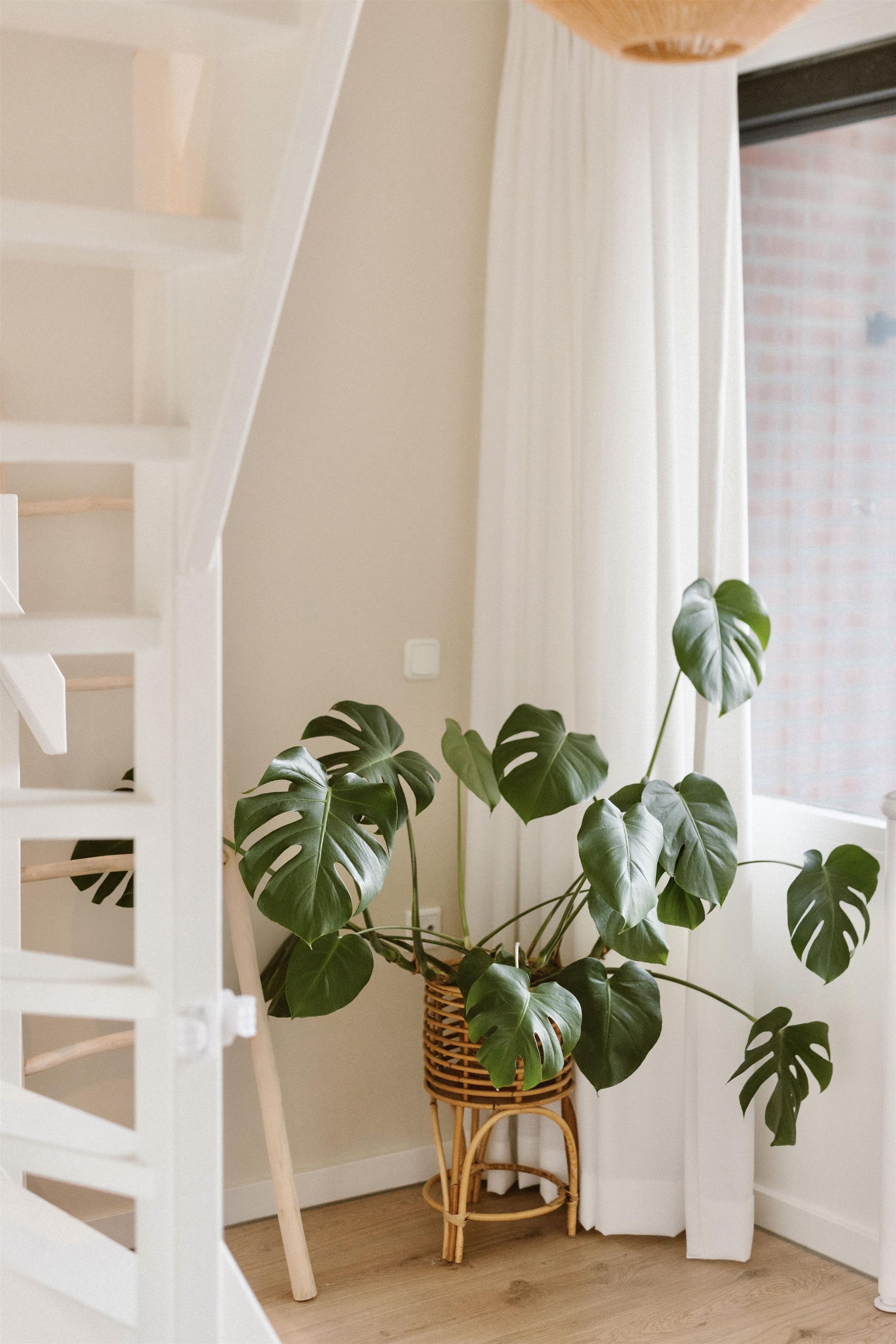 Foto 27 van Pijnappelsche Poort 14