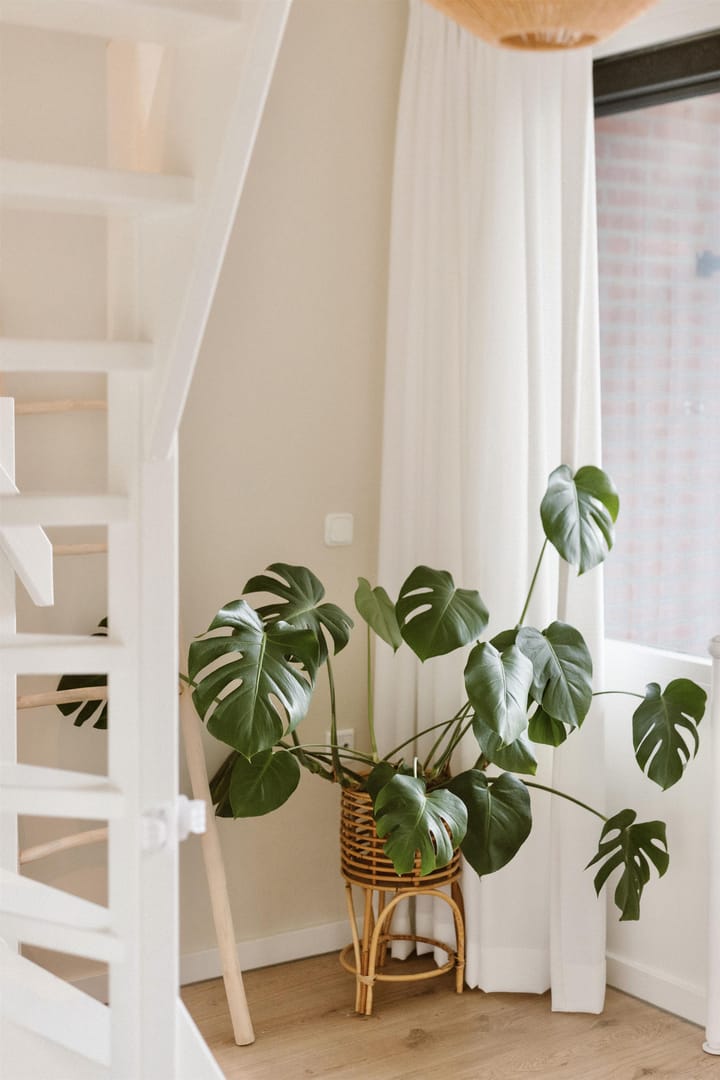 Foto 27 van Pijnappelsche Poort 14