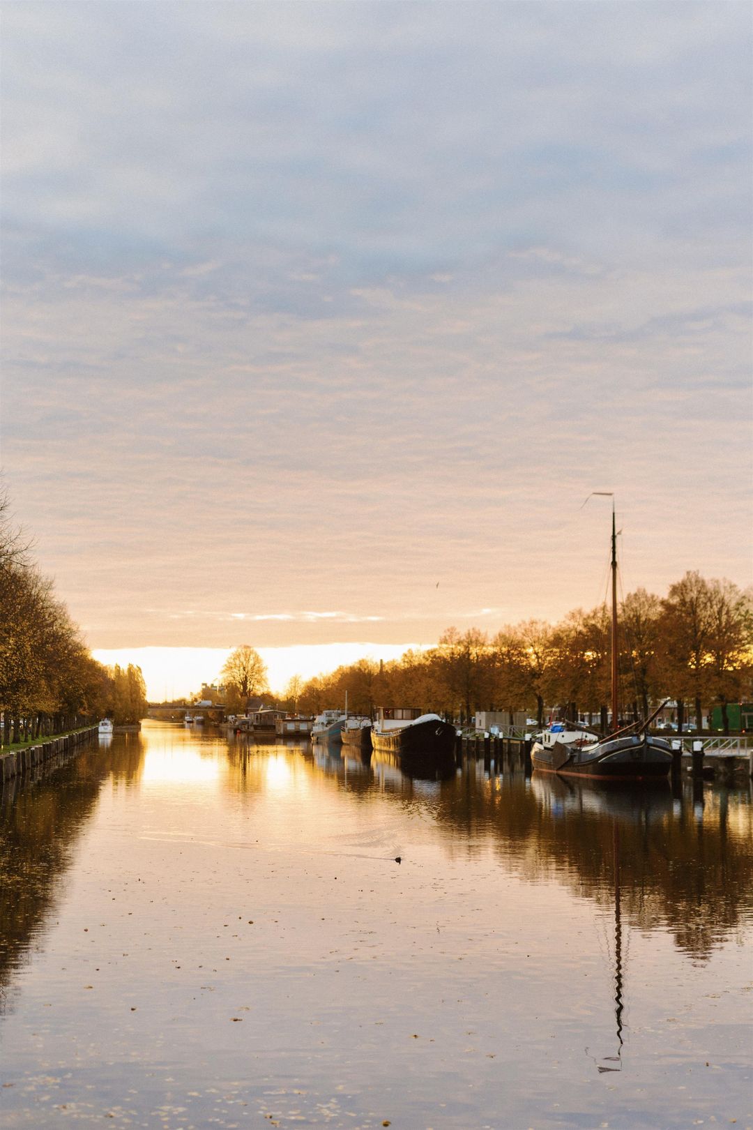 Foto 43 van Pijnappelsche Poort 14