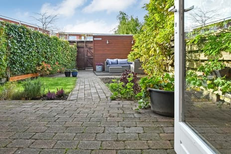 Regenboog 91 tertiary image