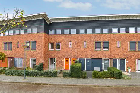 undefined main image