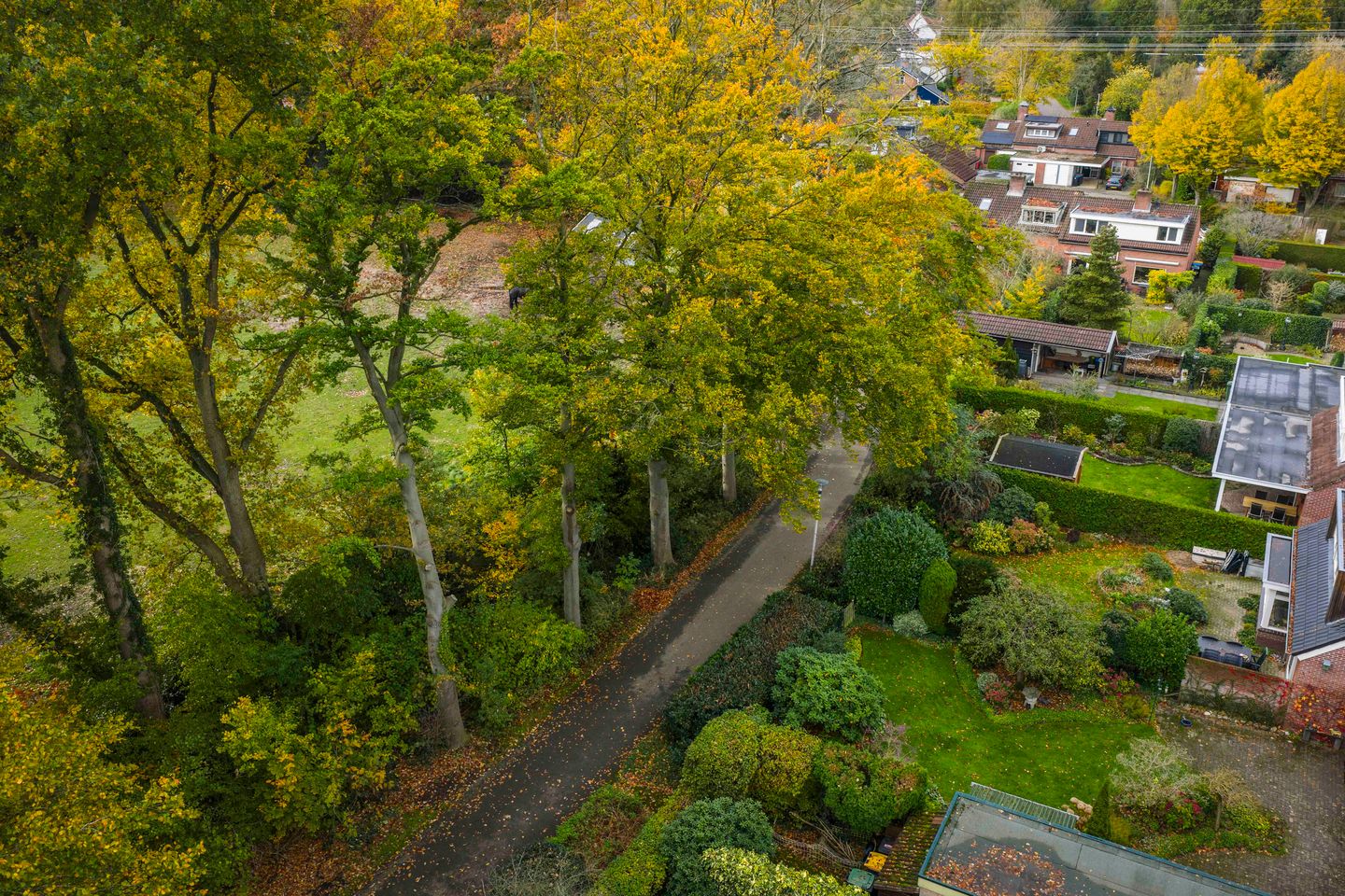 Foto 59 van Stijne van Sallandtstraat 42