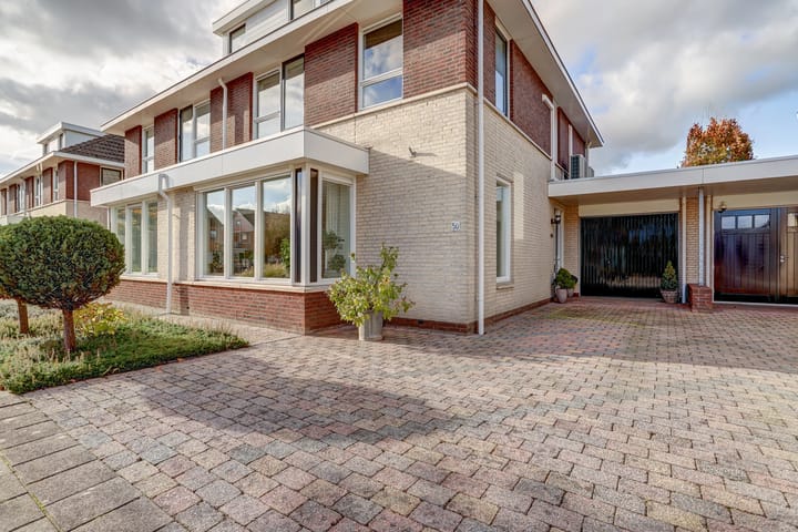 Foto 6 van Richter 50