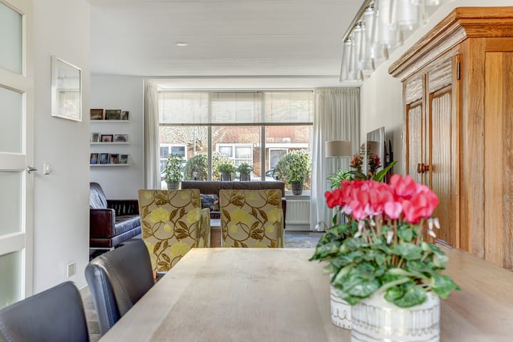 Foto 18 van Richter 50