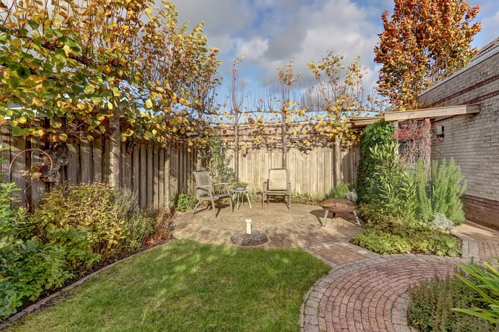 Foto 50 van Richter 50