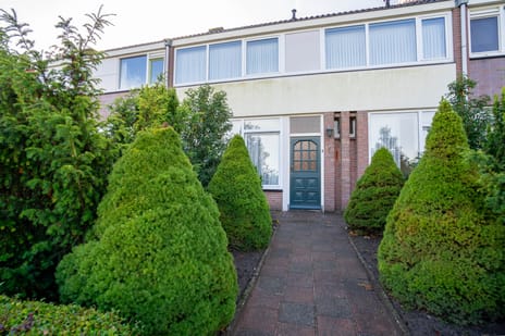 undefined main image