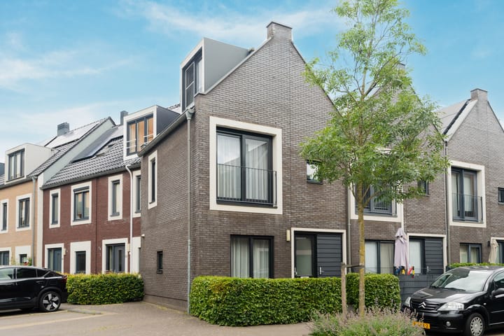 Photo 4 of Boterbloem 44