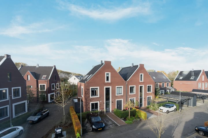 Photo 27 of Boterbloem 44