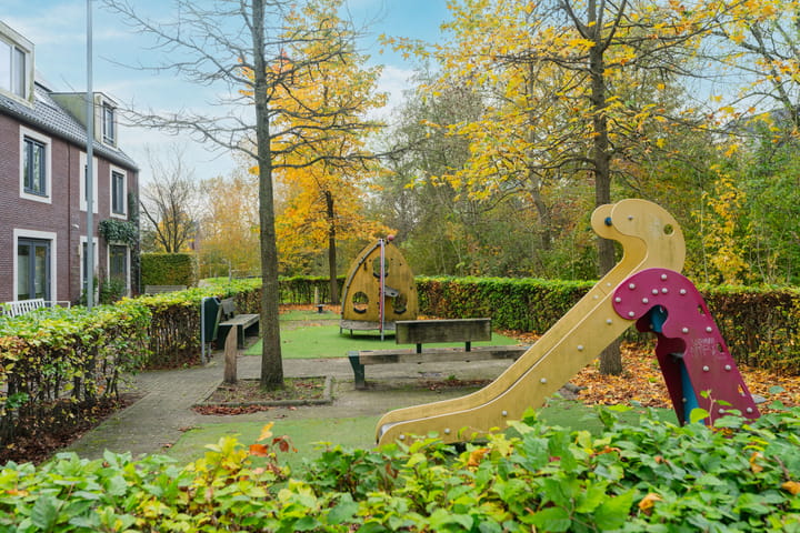 Photo 32 of Boterbloem 44