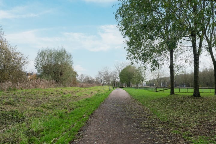 Photo 35 of Boterbloem 44