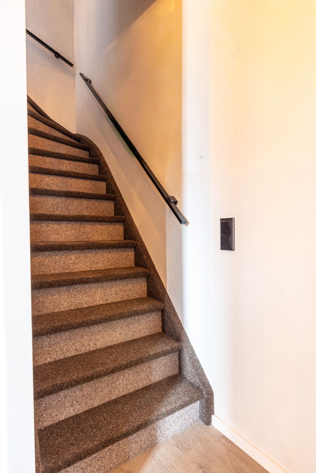 Foto 16 van Fossielenerf 654