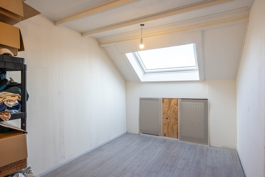 Foto 26 van Fossielenerf 654