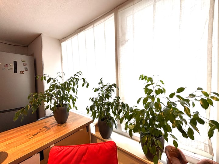 Foto 6 van Achterdorp 10