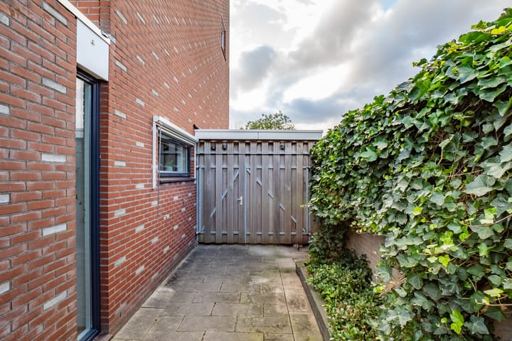 Photo 37 of Herman Heijermanshove 37