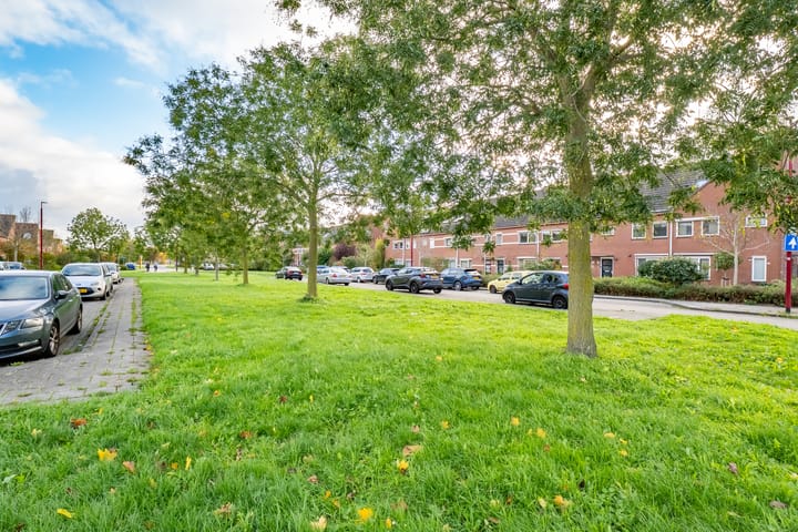 Photo 39 of Herman Heijermanshove 37