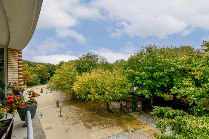 Foto 14 van Javastraat 703