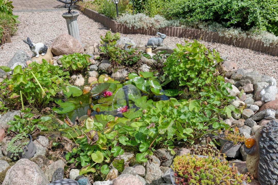 Photo 38 of Dagpauwoog 4-A