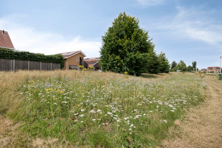 Photo 43 of Dagpauwoog 4-A