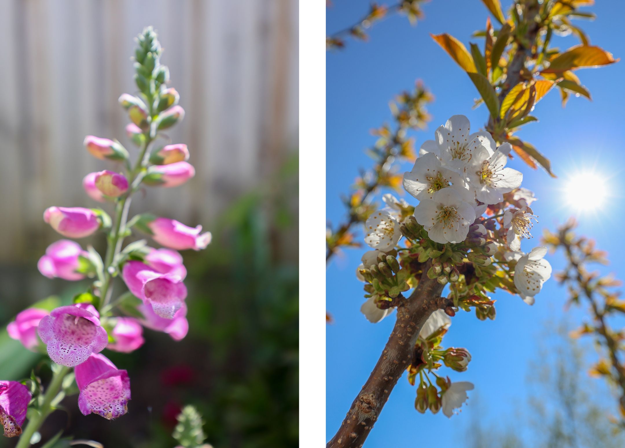 Foto 42 van Galileo Galileistraat 44