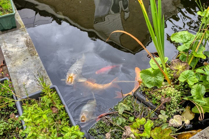 Photo 24 of Johannes ter Horststraat 10